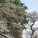 常州旅游 缩略图 3