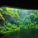 上海旅游 缩略图 5