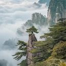 黄山旅游 缩略图 2