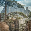 黄山旅游 缩略图 5