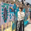 黄山旅游 缩略图 15