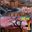 天津旅游 缩略图 5