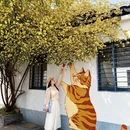 苏州旅游 缩略图 7