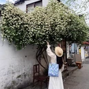 苏州旅游 缩略图 13