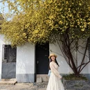 苏州旅游 缩略图 2