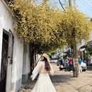 苏州旅游 缩略图 11
