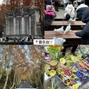 南京旅游 缩略图 17