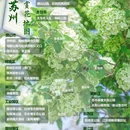 苏州旅游 缩略图 7