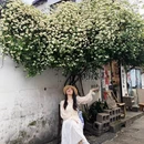 苏州旅游 缩略图 1