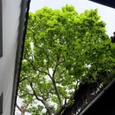 苏州旅游 缩略图 12