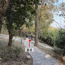 南京旅游 缩略图 6