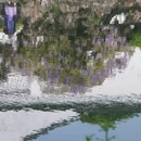 苏州旅游 缩略图 14