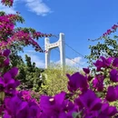 遵义旅游 缩略图 4