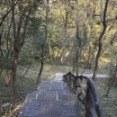 南京旅游 缩略图 4