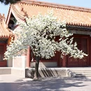北京旅游 缩略图 7