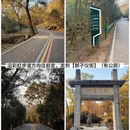 南京旅游 缩略图 9
