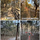 南京旅游 缩略图 8