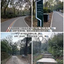 南京旅游 缩略图 14