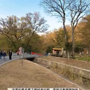 南京旅游 缩略图 13