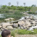 南京旅游 缩略图 7