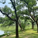 广州旅游 缩略图 2