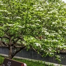 北京旅游 缩略图 6