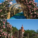 成都旅游 缩略图 16