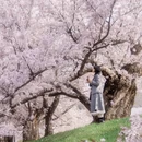 大连旅游 缩略图 6