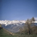 伊犁旅游 缩略图 14