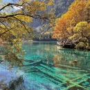 阿坝旅游 缩略图 2
