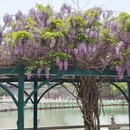 北京旅游 缩略图 14