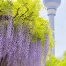 北京旅游 缩略图 14