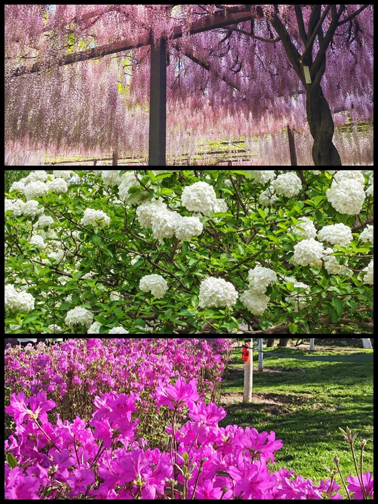 北京旅游