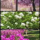 北京旅游 缩略图 1