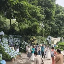 南宁旅游 缩略图 3