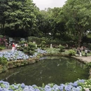 南宁旅游 缩略图 6