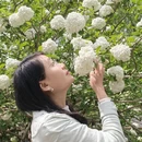 北京旅游 缩略图 4