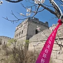北京旅游 缩略图 1