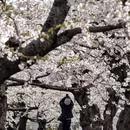 牡丹江旅游 缩略图 12