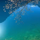 阿坝旅游 缩略图 7