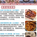 南京旅游 缩略图 8