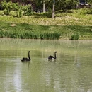 北京旅游 缩略图 18