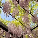 北京旅游 缩略图 9