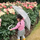 宁波旅游 缩略图 11