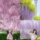 北京旅游 缩略图 1