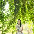 广州旅游 缩略图 8