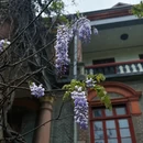南通旅游 缩略图 6