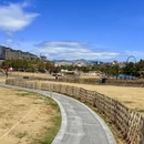 青岛旅游 缩略图 9