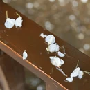 南通旅游 缩略图 9