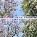 北京旅游 缩略图 1
